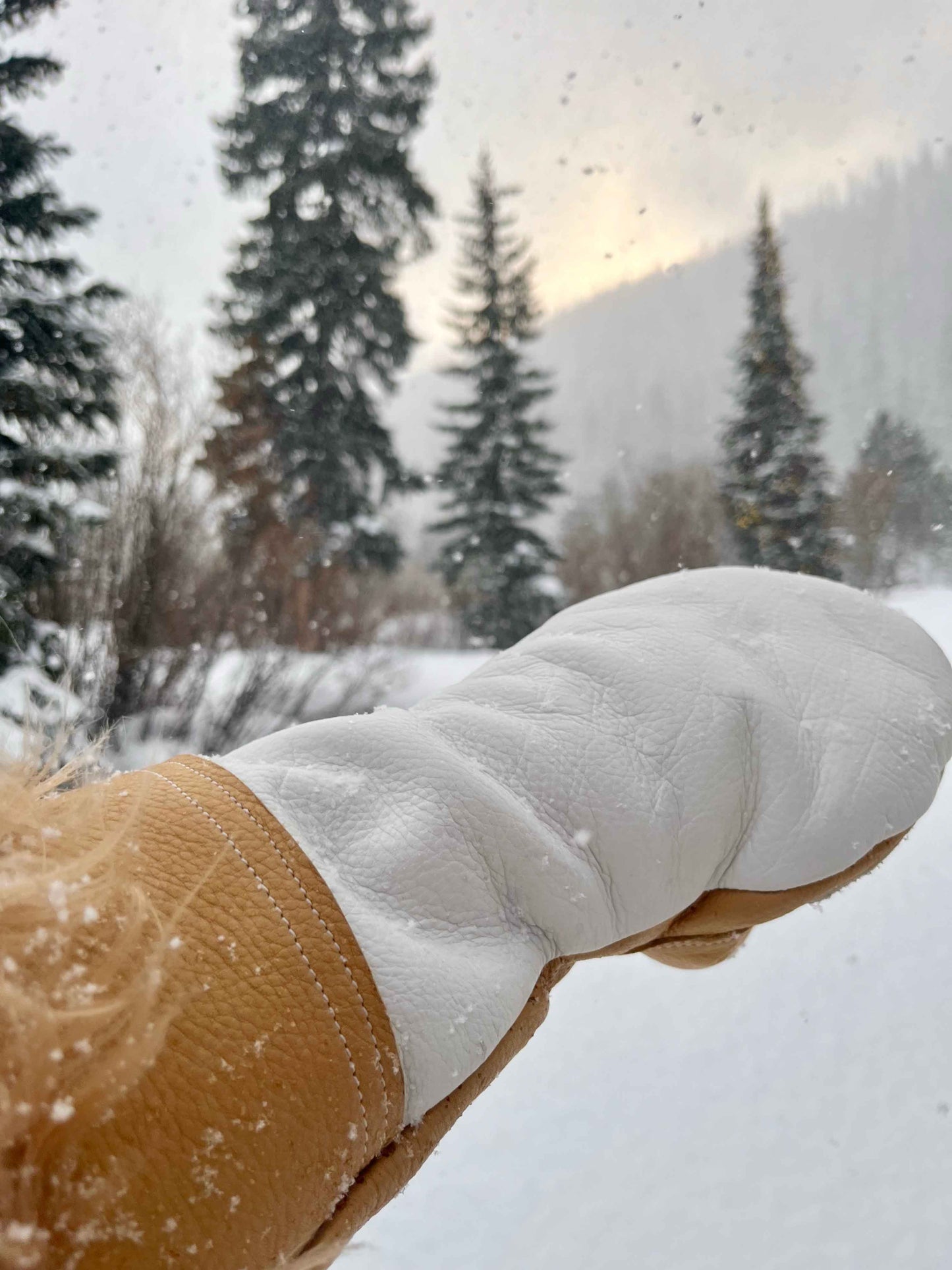 Aspen Winter Mitten